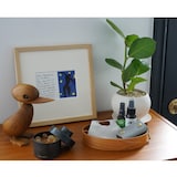 ［ＩＤＥＥ］ＳＨＡＫＥＲ　ＢＵＲＥＡＵ　ＴＲＡＹ