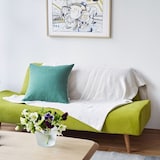 ［ＩＤＥＥ］ＡＯ　ＳＯＦＡ　（２）　ＧＲＥＥＮ
