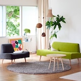 ［ＩＤＥＥ］ＡＯ　ＳＯＦＡ　（１）　ＣＨＡＲＣＯＡＬ