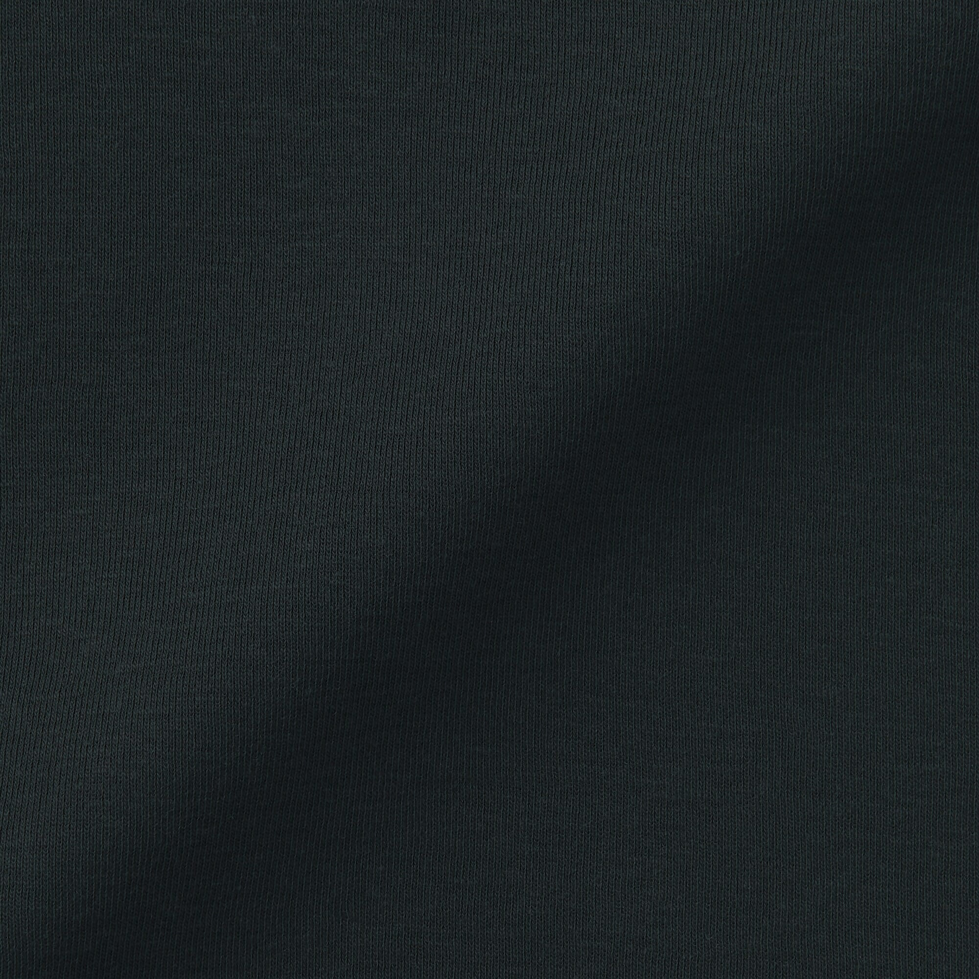 紳士　さらっと綿　クルーネック半袖Ｔシャツ