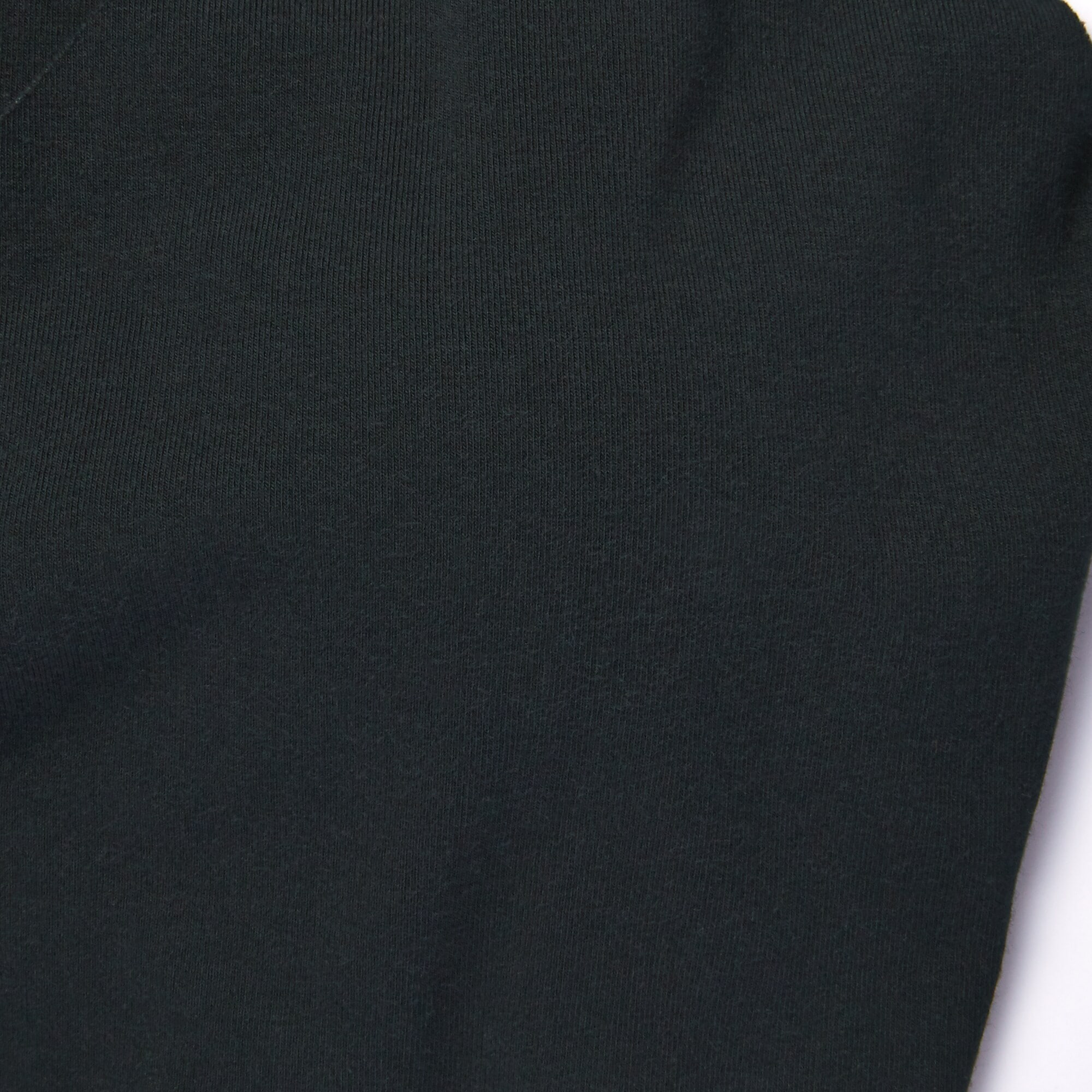 婦人　どこにも縫い目がないハーフトップブラジャー