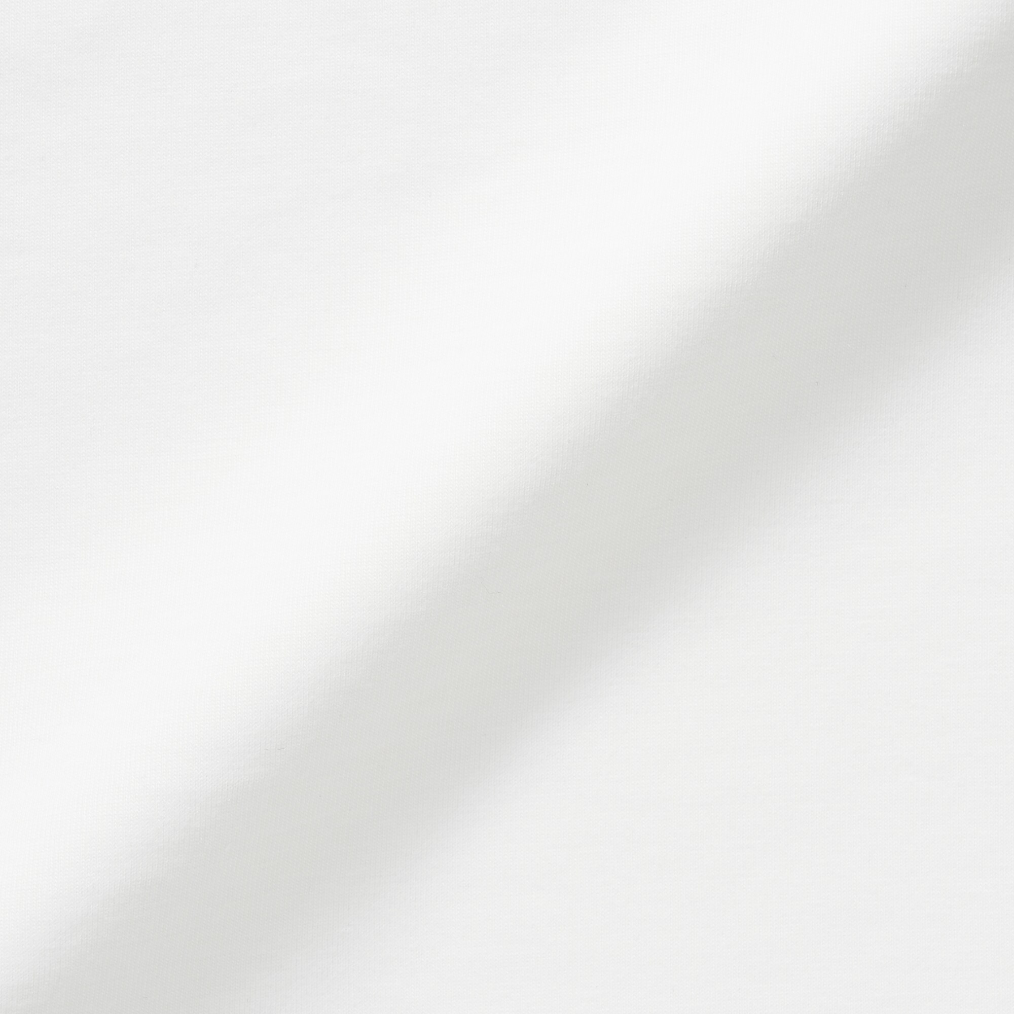 婦人　天竺編みクルーネック長袖Ｔシャツ