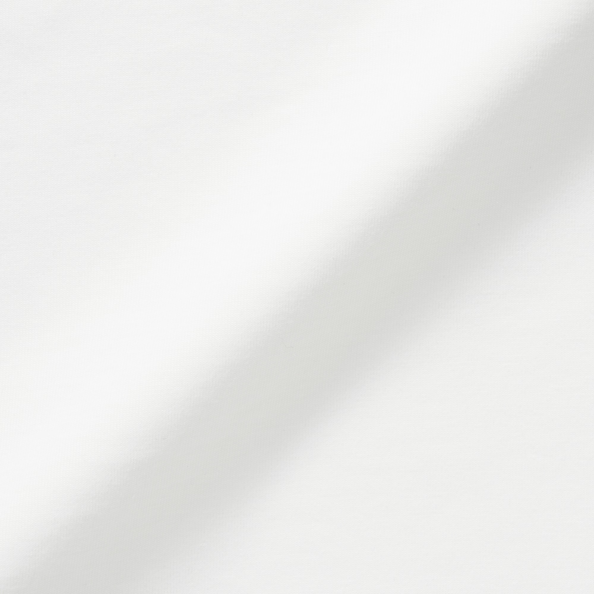 婦人　天竺編みクルーネック長袖Ｔシャツ