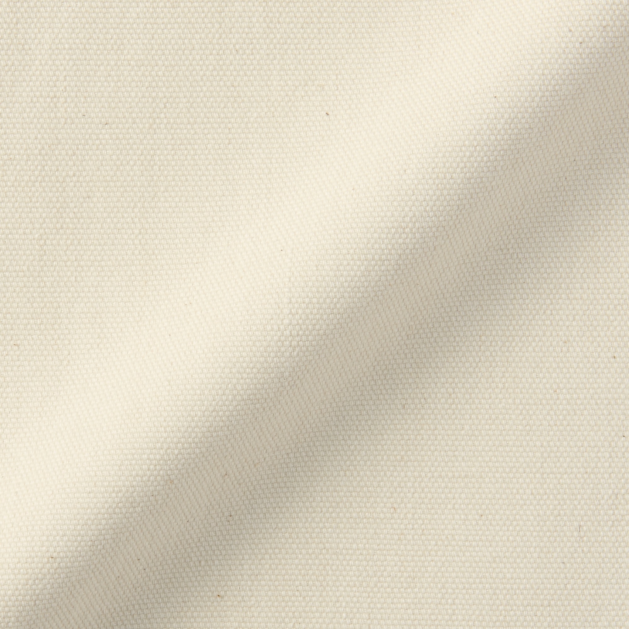 紳士　木の実から作ったカポック混キャンバスワイドパンツ