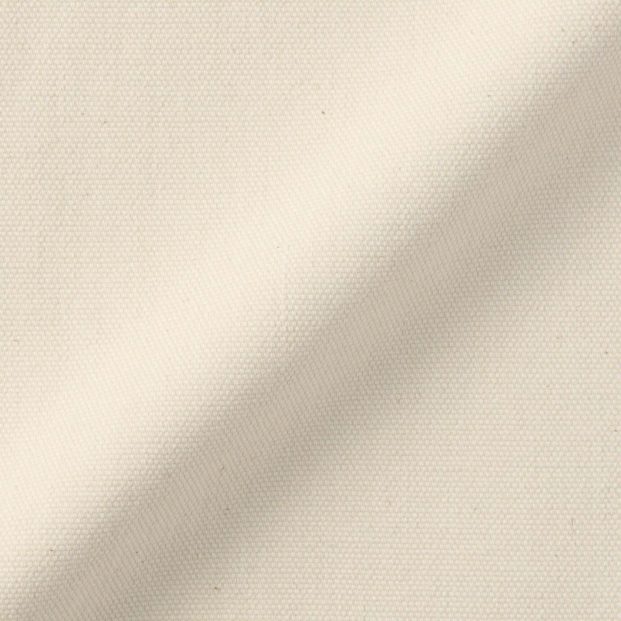 紳士　木の実から作ったカポック混キャンバスワイドパンツ