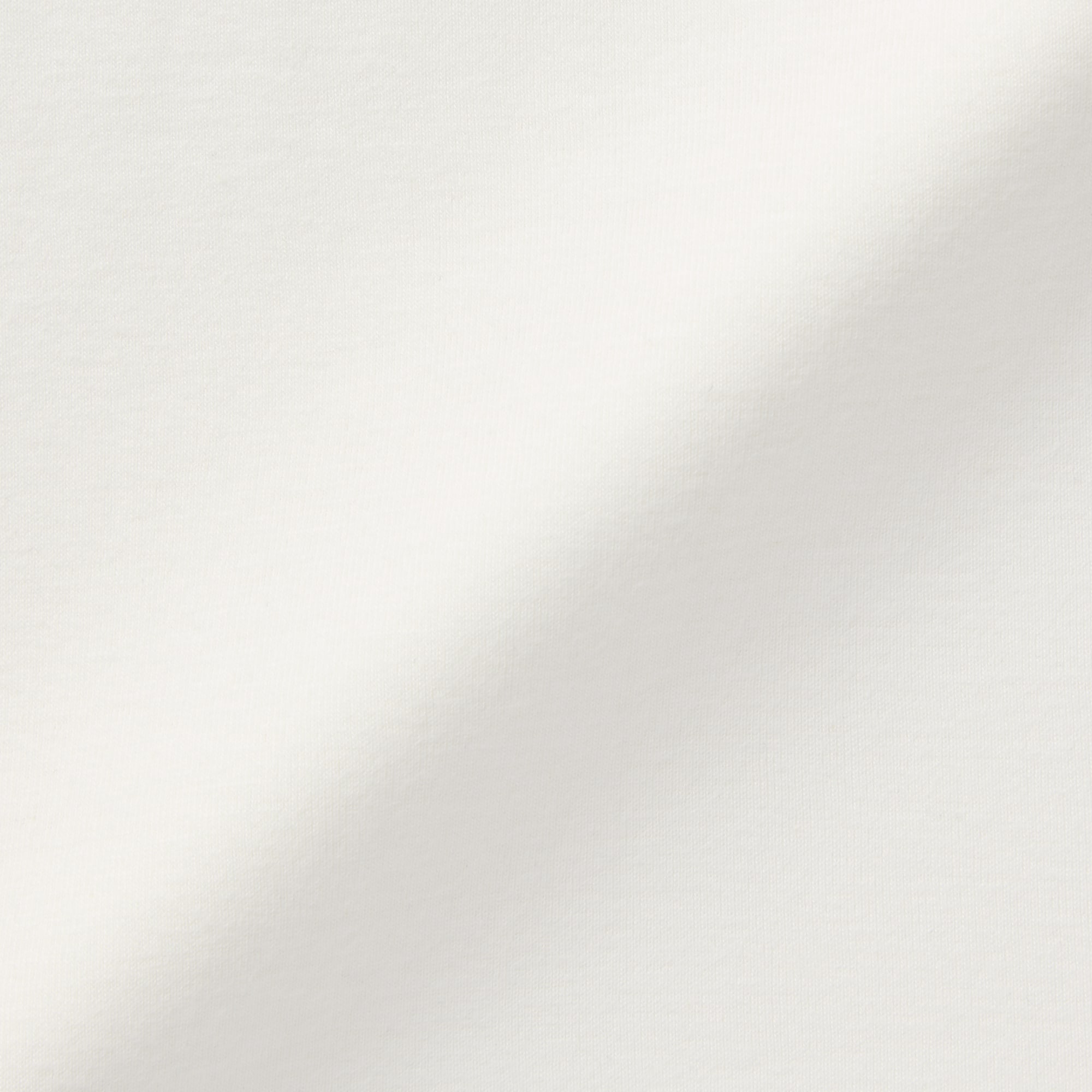 婦人　あったか綿　半袖Ｔシャツ