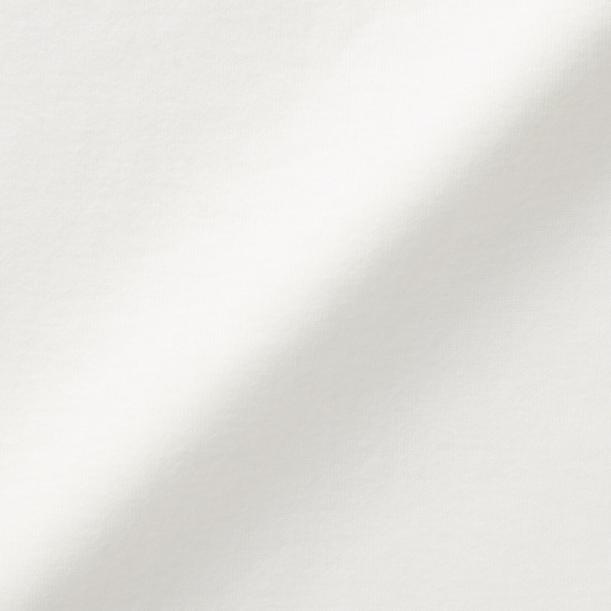 婦人　あったか綿　ハイネックＴシャツ