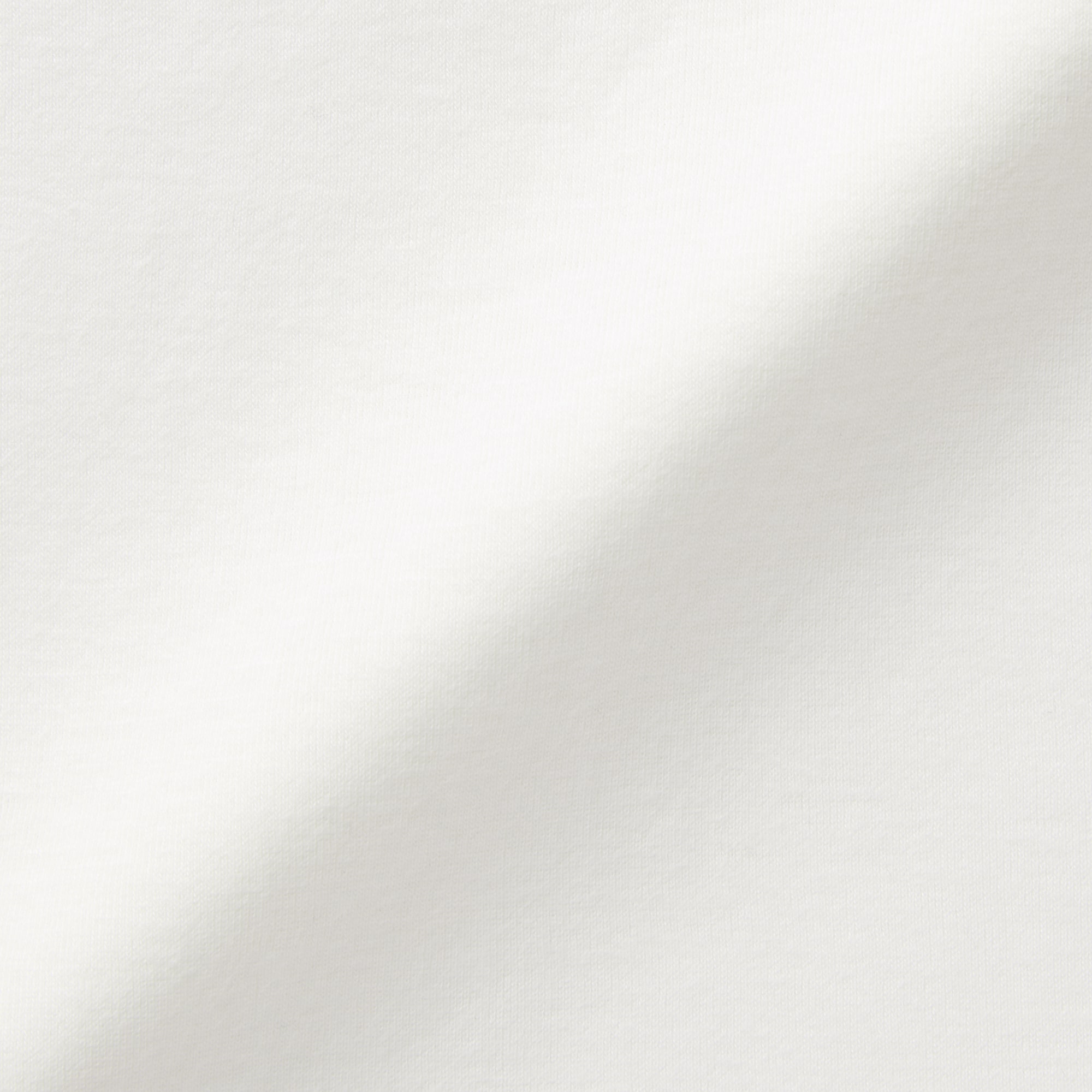 婦人　あったか綿　ハイネックＴシャツ