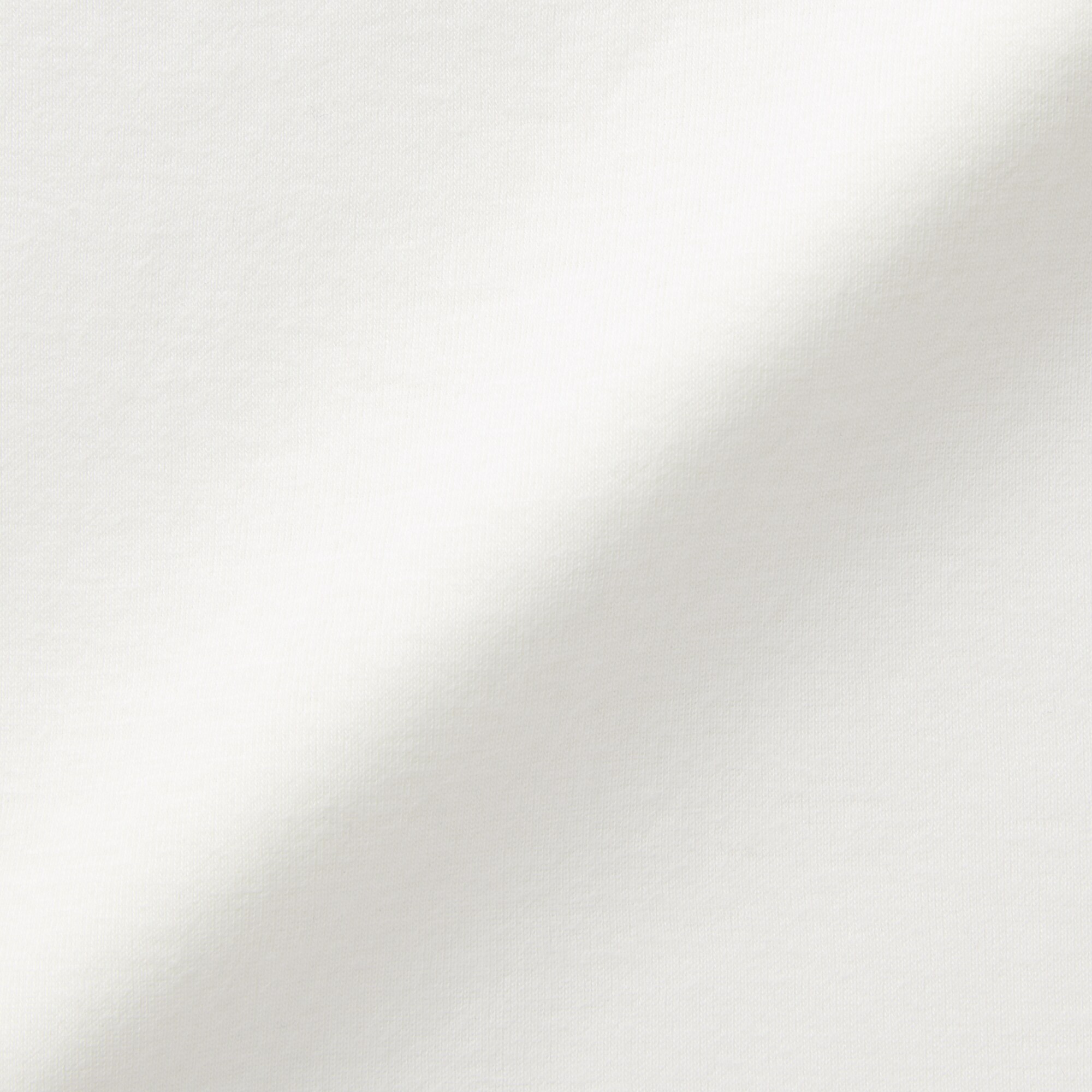 婦人　あったか綿　ハイネックＴシャツ