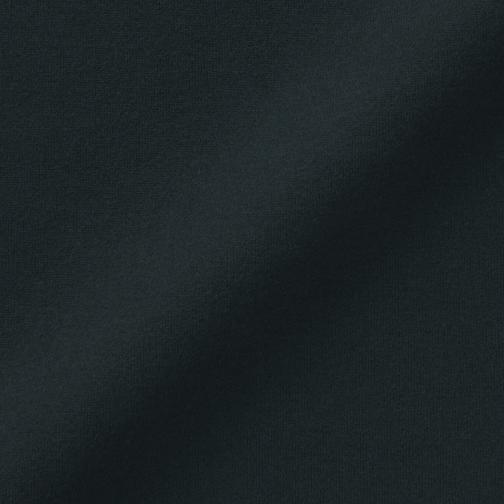 婦人　あったか綿　ハイネックＴシャツ