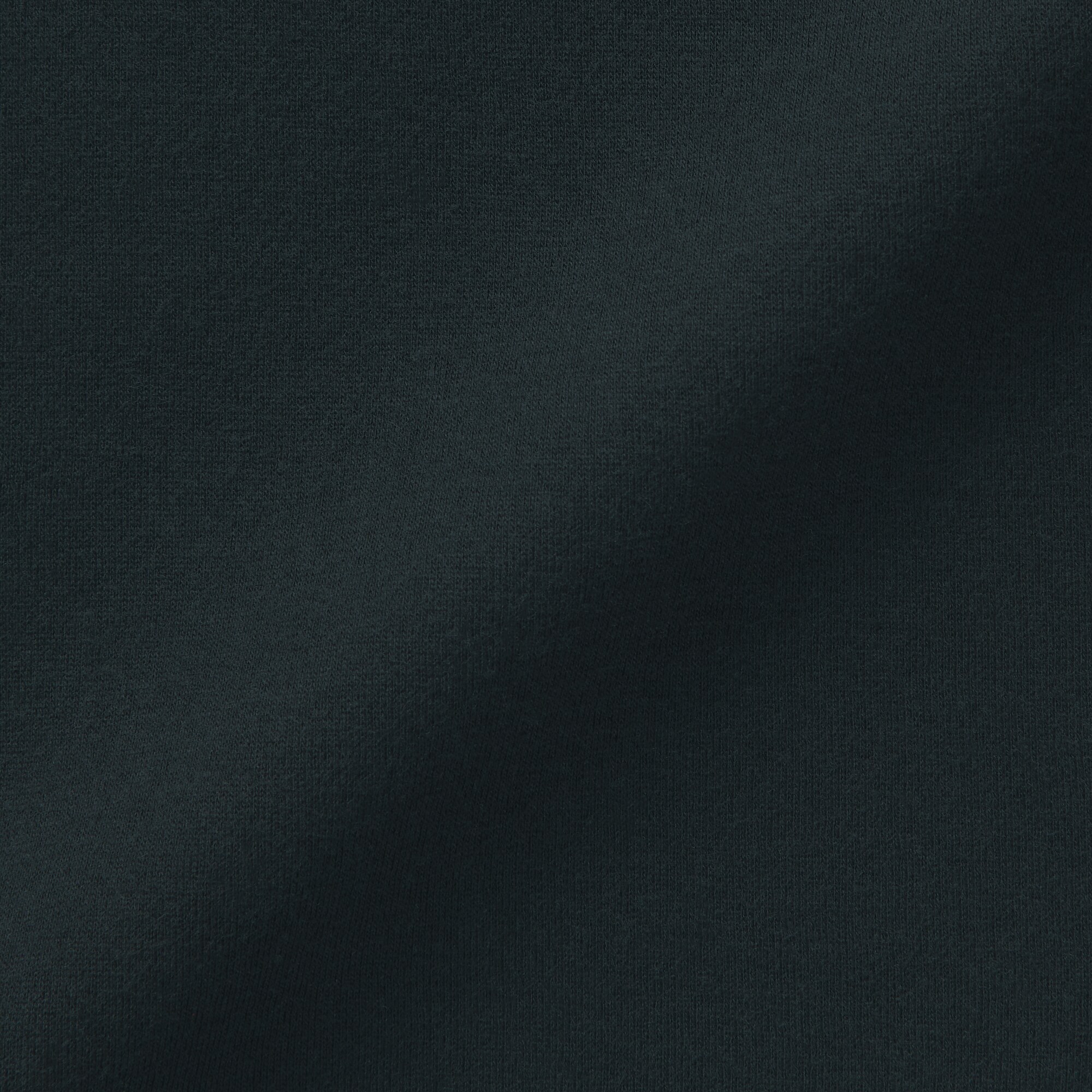 婦人　あったか綿　ハイネックＴシャツ