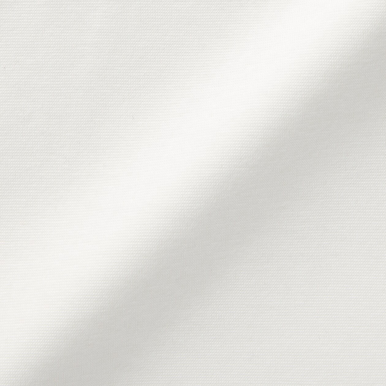 婦人　あったか綿　厚手　クルーネック長袖Ｔシャツ