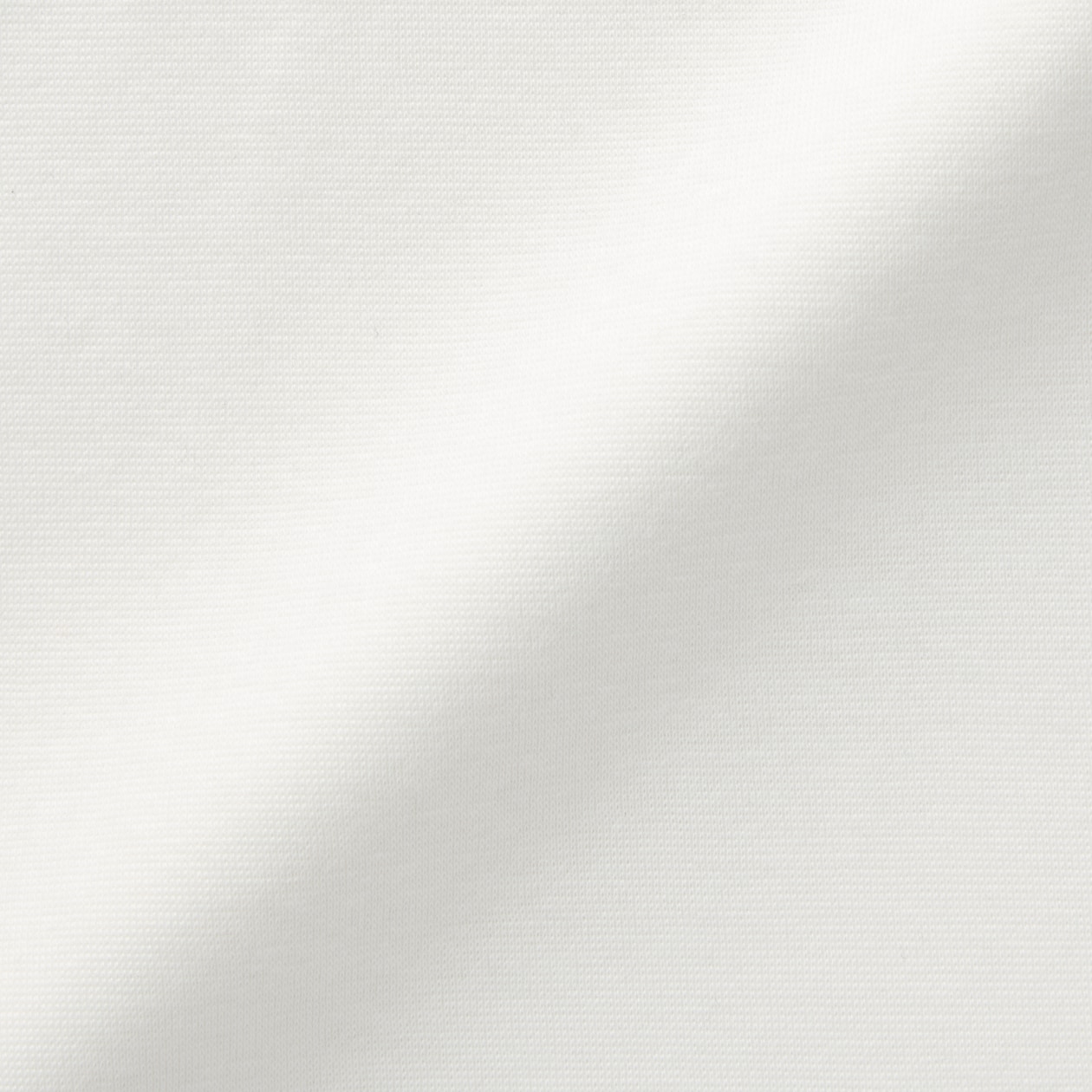 婦人　あったか綿　厚手　クルーネック長袖Ｔシャツ