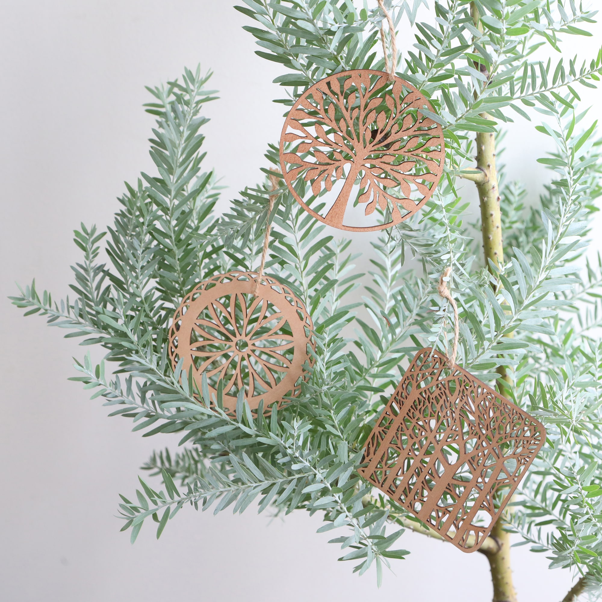 ［ＩＤＥＥ］木製コースターｔｒｅｅ