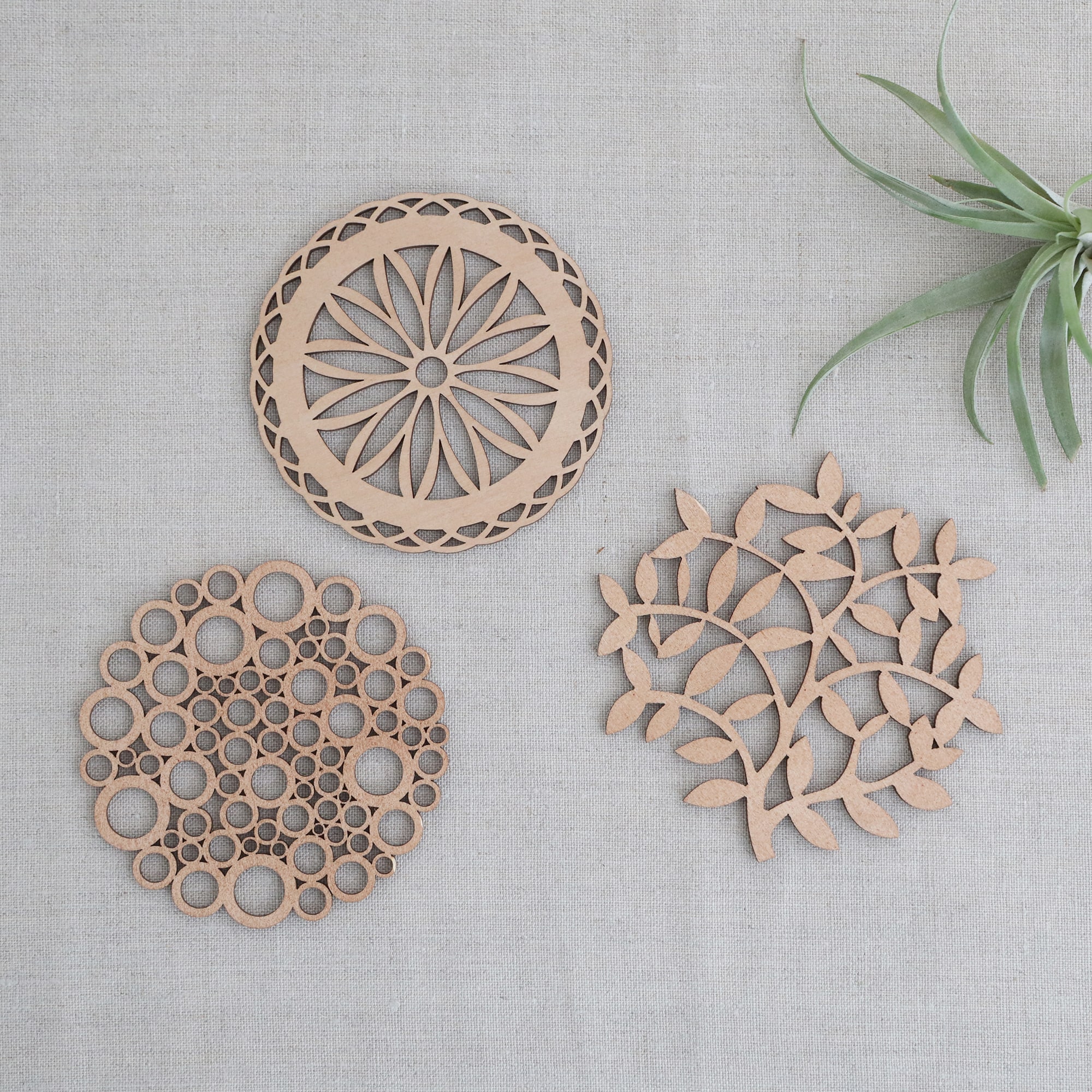 ［ＩＤＥＥ］木製コースターｂｒａｎｃｈ