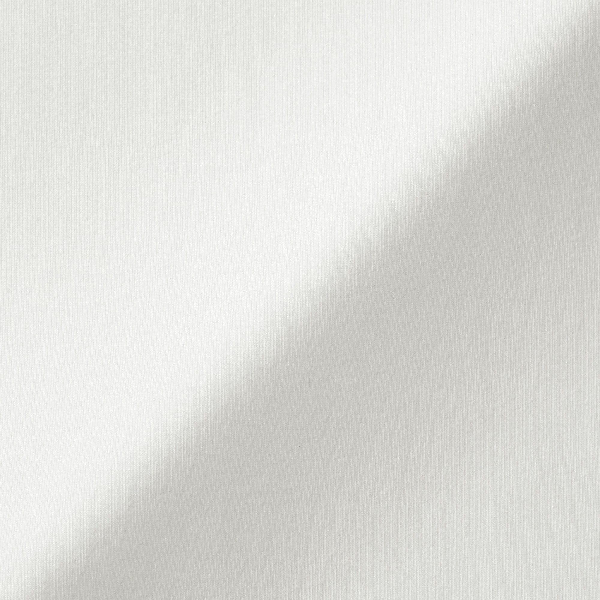 婦人　起毛フライス編みハイネック長袖Ｔシャツ