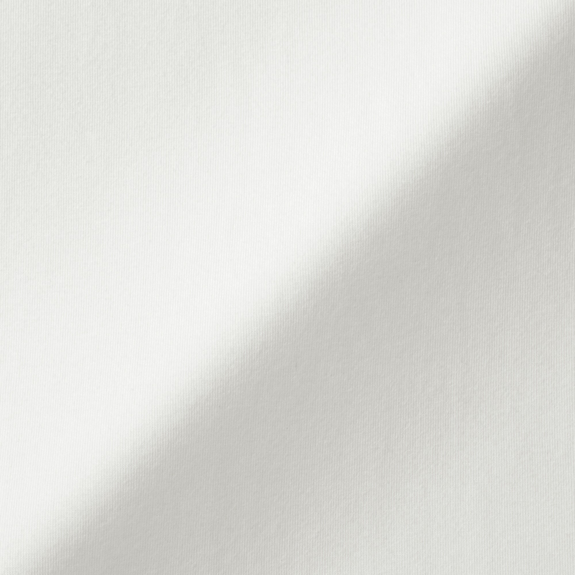 婦人　起毛フライス編みハイネック長袖Ｔシャツ