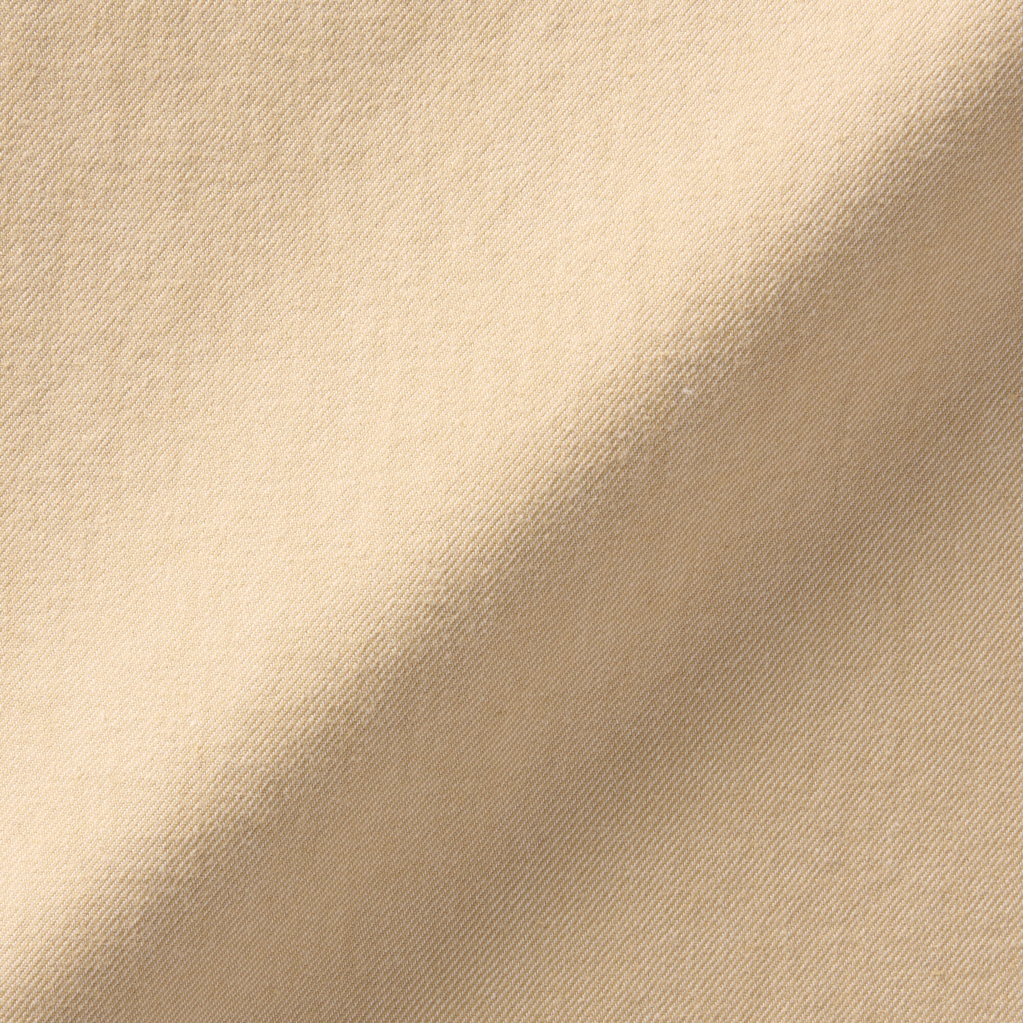 婦人　起毛ツイルブラウス