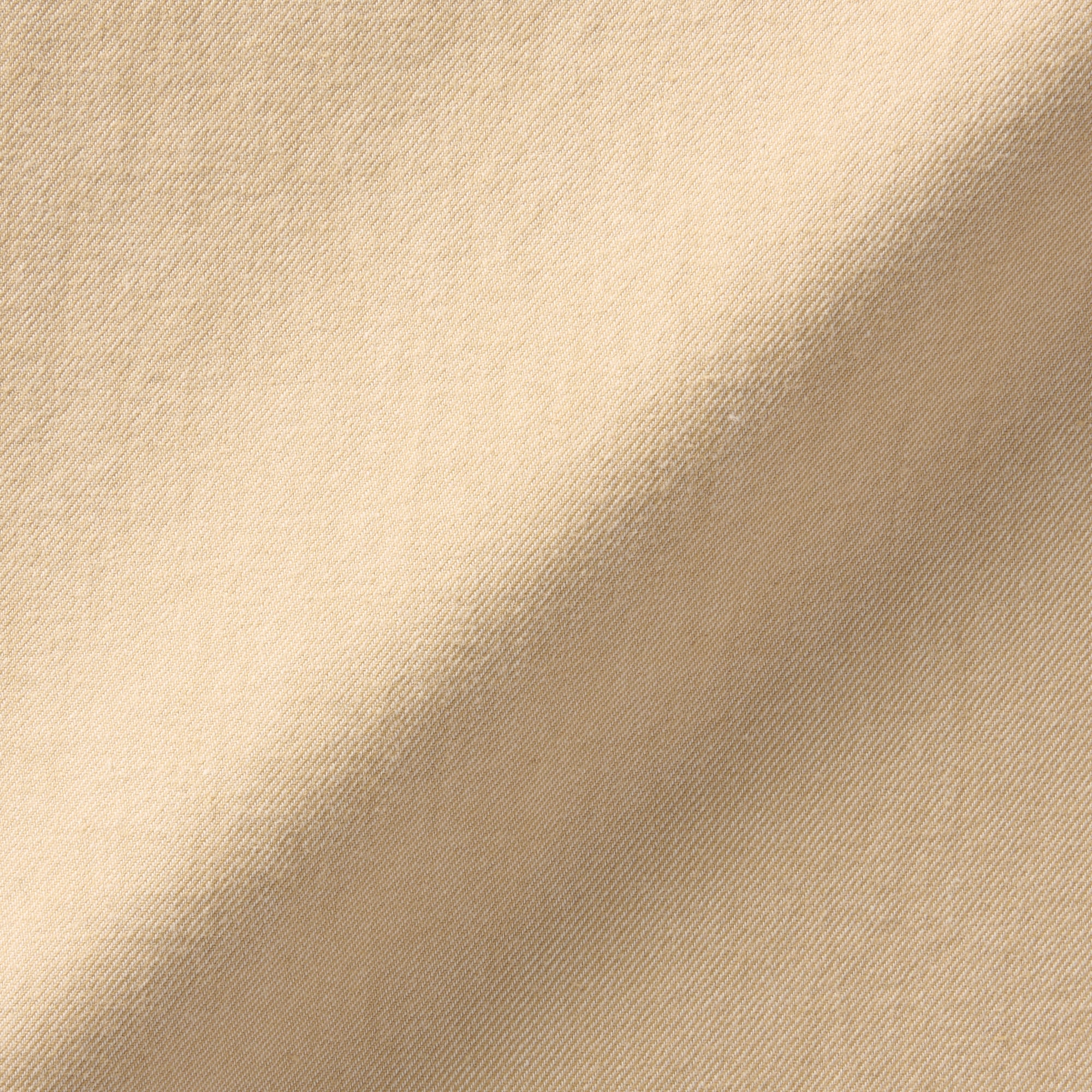 婦人　起毛ツイルブラウス