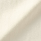 紳士　起毛ツイルレギュラーカラーシャツ