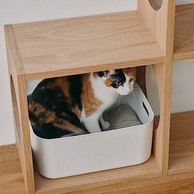 【犬猫兼用】丸洗いできる　ペット用ミニクッション