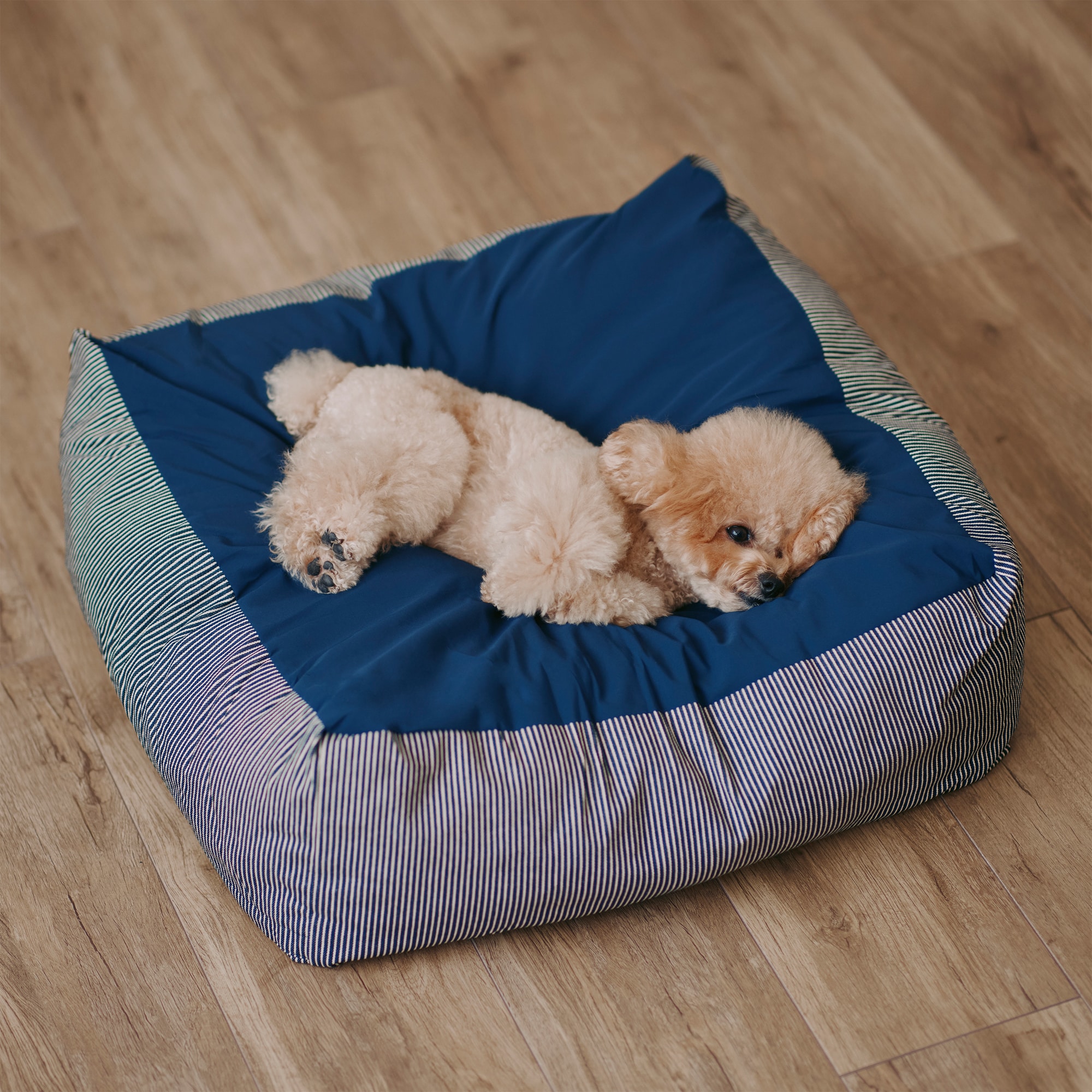 丸洗いできる　ペット用クッション