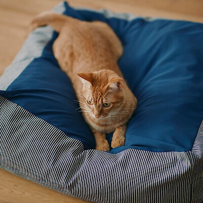 【犬猫兼用】丸洗いできる　ペット用クッション　