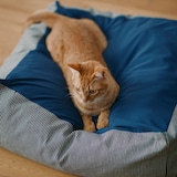 丸洗いできる　ペット用クッション