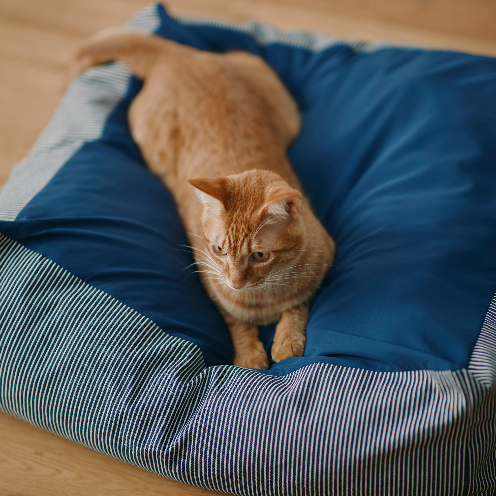 丸洗いできる　ペット用クッション