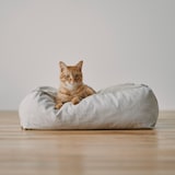 丸洗いできる　ペット用クッション