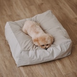 丸洗いできる　ペット用クッション