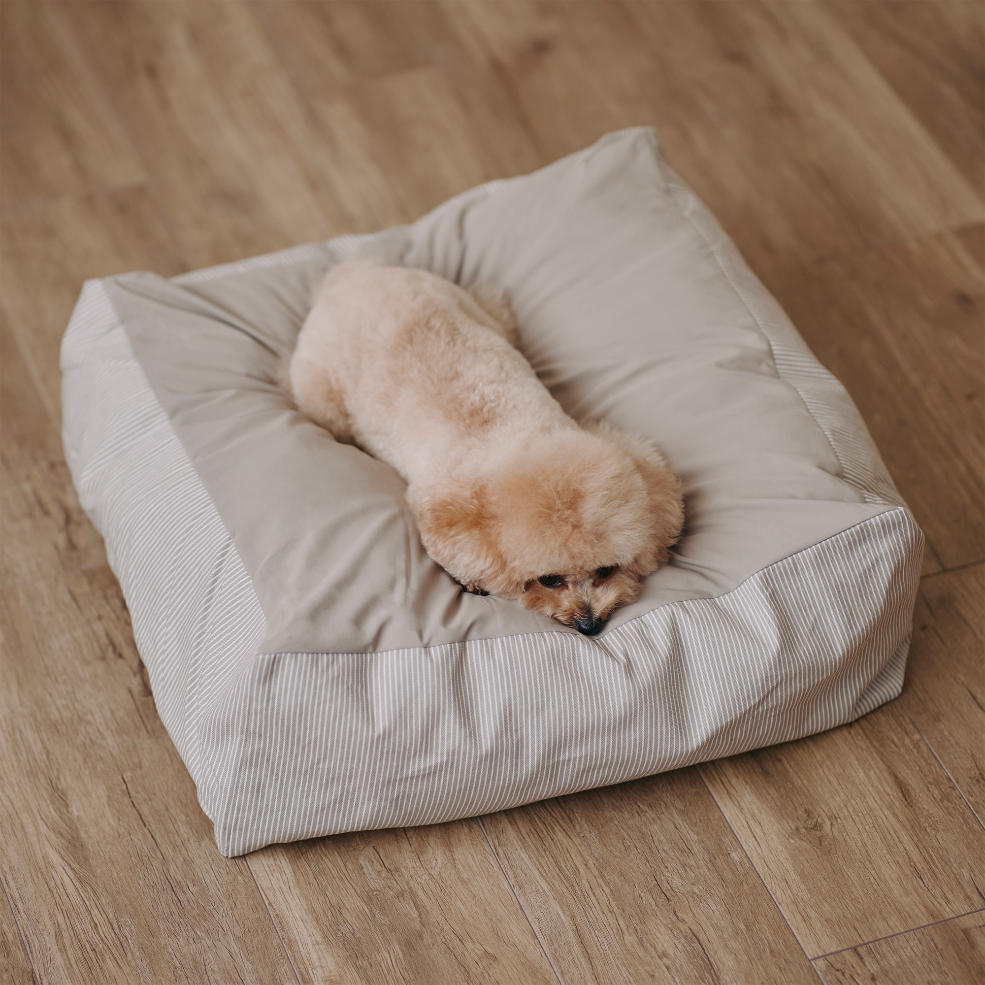 丸洗いできる　ペット用クッション