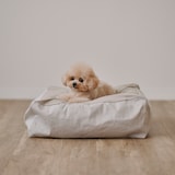 丸洗いできる　ペット用クッション