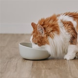 磁器　ペット用フードボウル　大