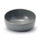 磁器　ペット用フードボウル　大