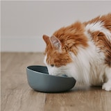 磁器　ペット用フードボウル　大