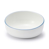 磁器　ペット用フードボウル　大