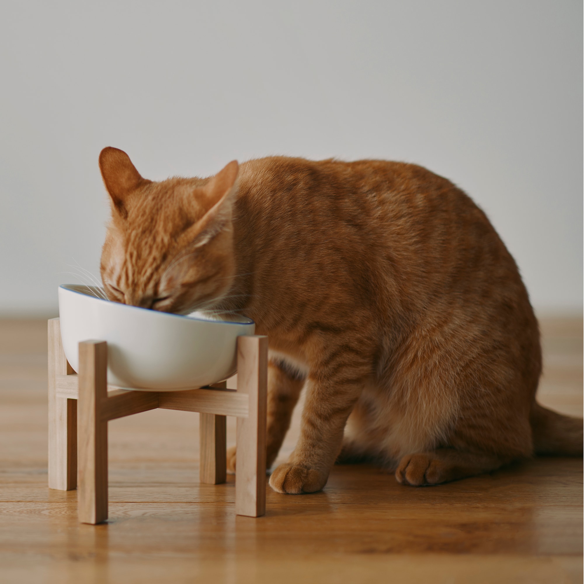 犬用 猫用 食器台 フードスタンド 高さ調節 方向調整食器