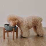 木製スタンド　小　ペットフードボウル用