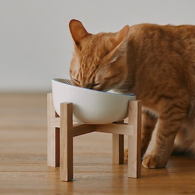 【犬猫兼用】木製スタンド　ペットフードボウル用　小・大