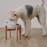 木製スタンド　大　ペットフードボウル用