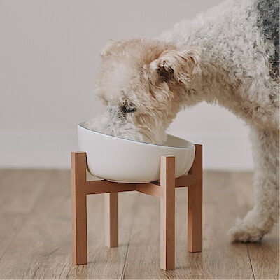 【犬猫兼用】木製スタンド　ペットフードボウル用　小・大
