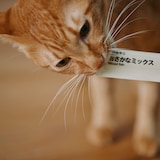 素材を生かした猫のおやつ　おさかなミックスピューレ