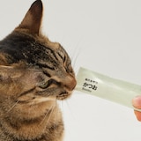 素材を生かした猫のおやつ　かつおピューレ