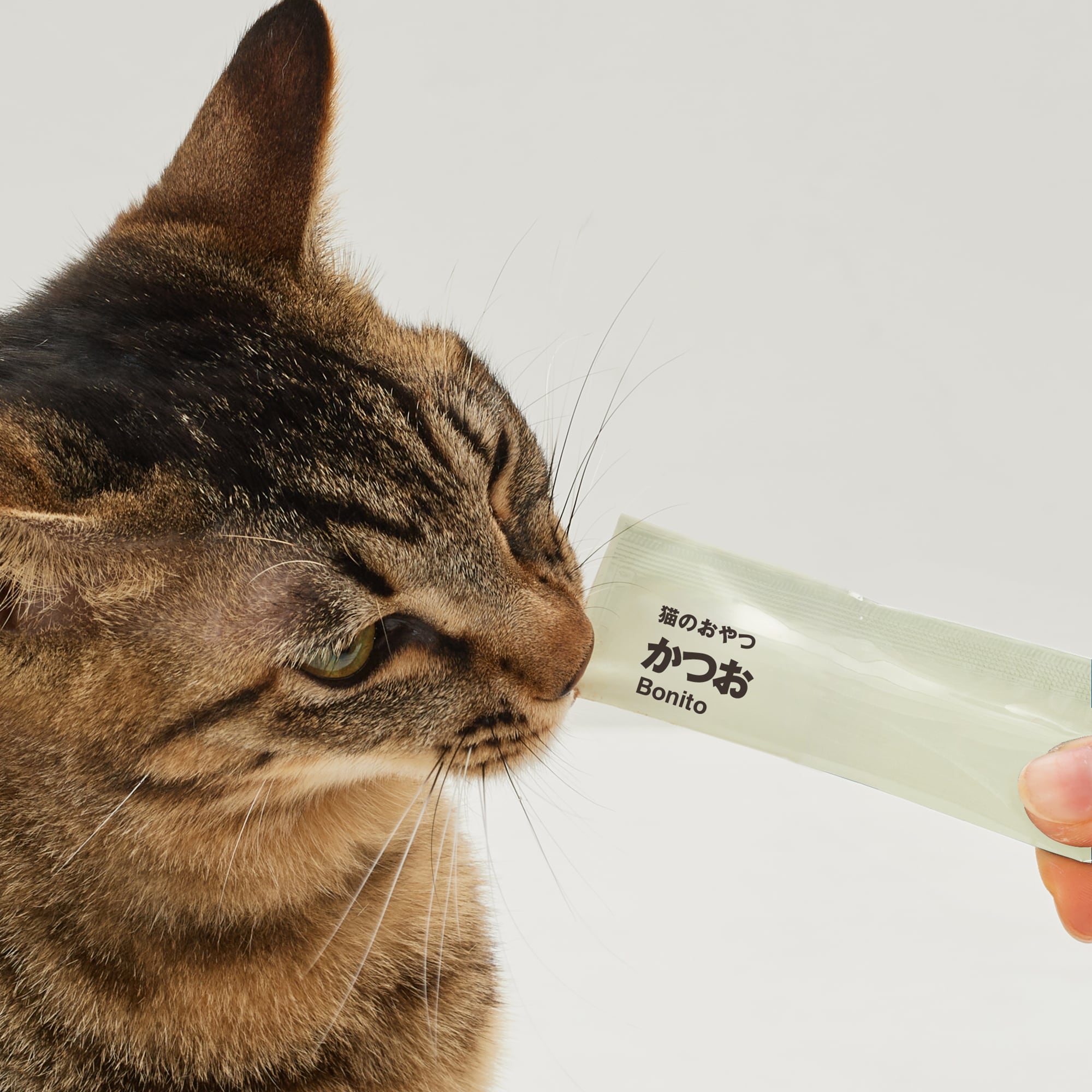 素材を生かした猫のおやつ　かつおピューレ