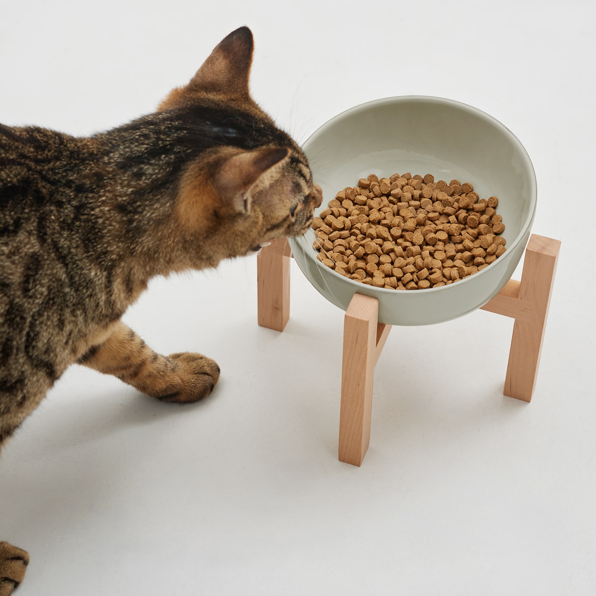 素材を生かした猫のごはん 魚だし香る国産鶏肉と玄米 | 無印良品