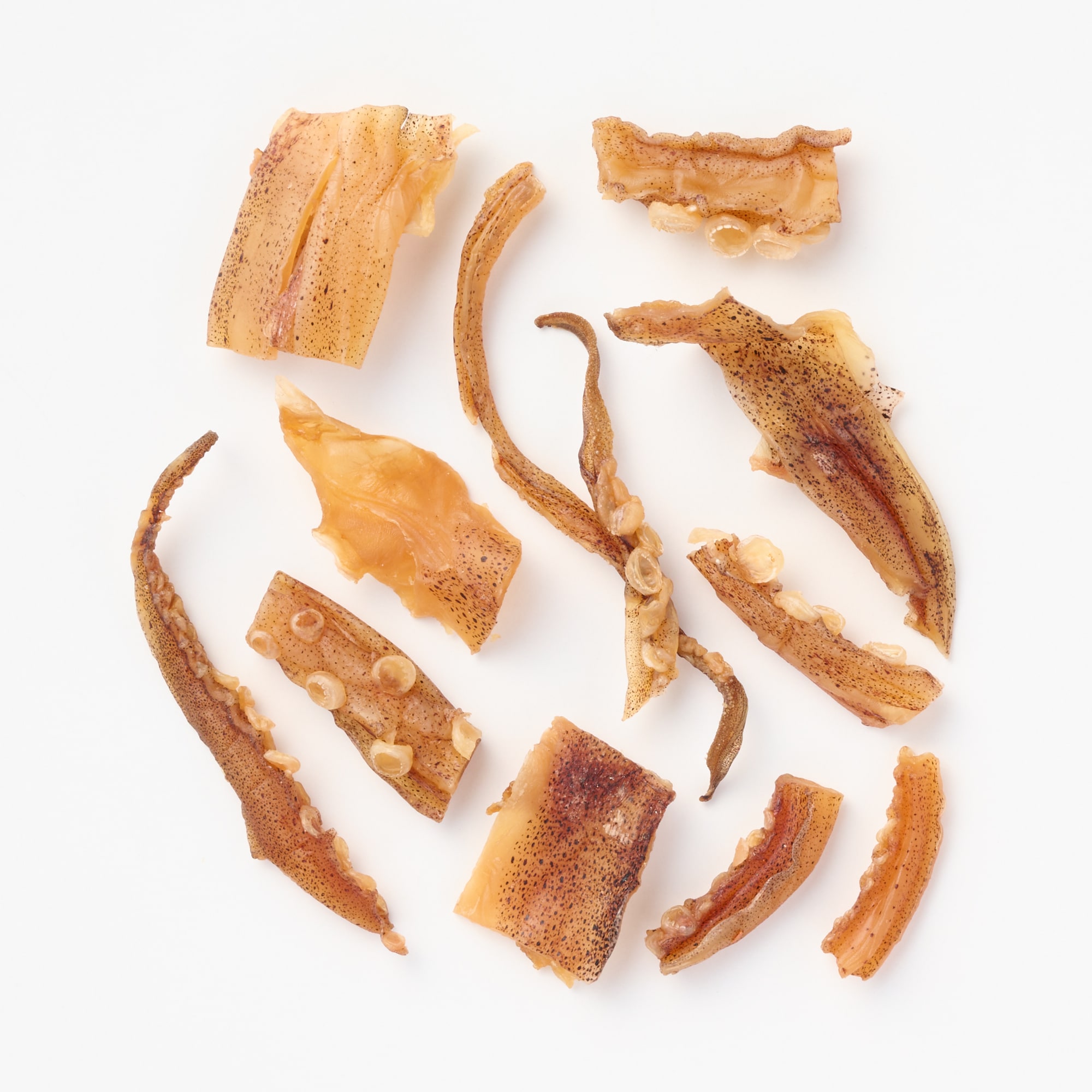 おつまみするめ