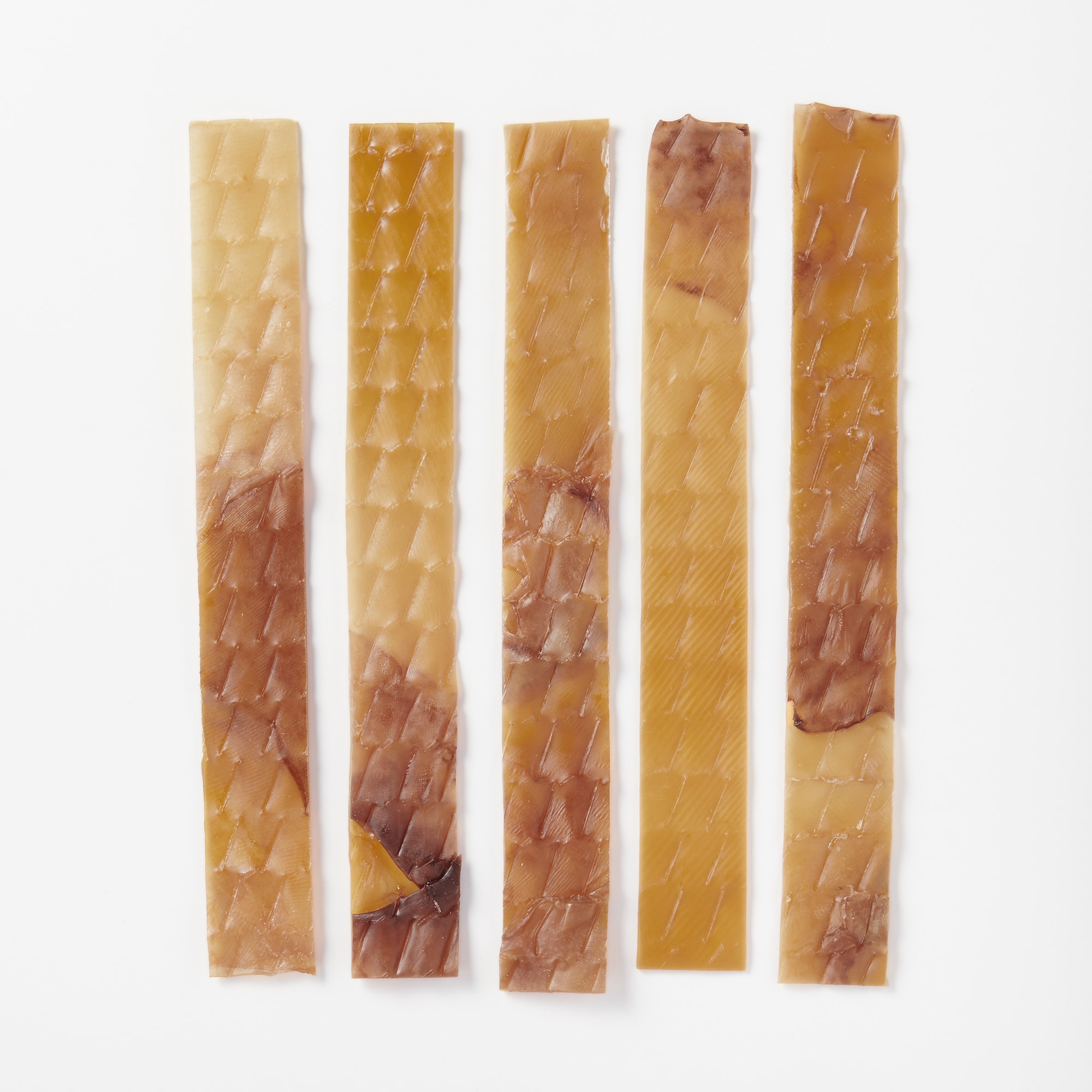 フリーカット　するめシート