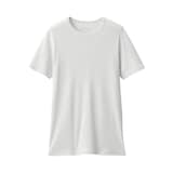 紳士　さらっと綿　クルーネック半袖Ｔシャツ