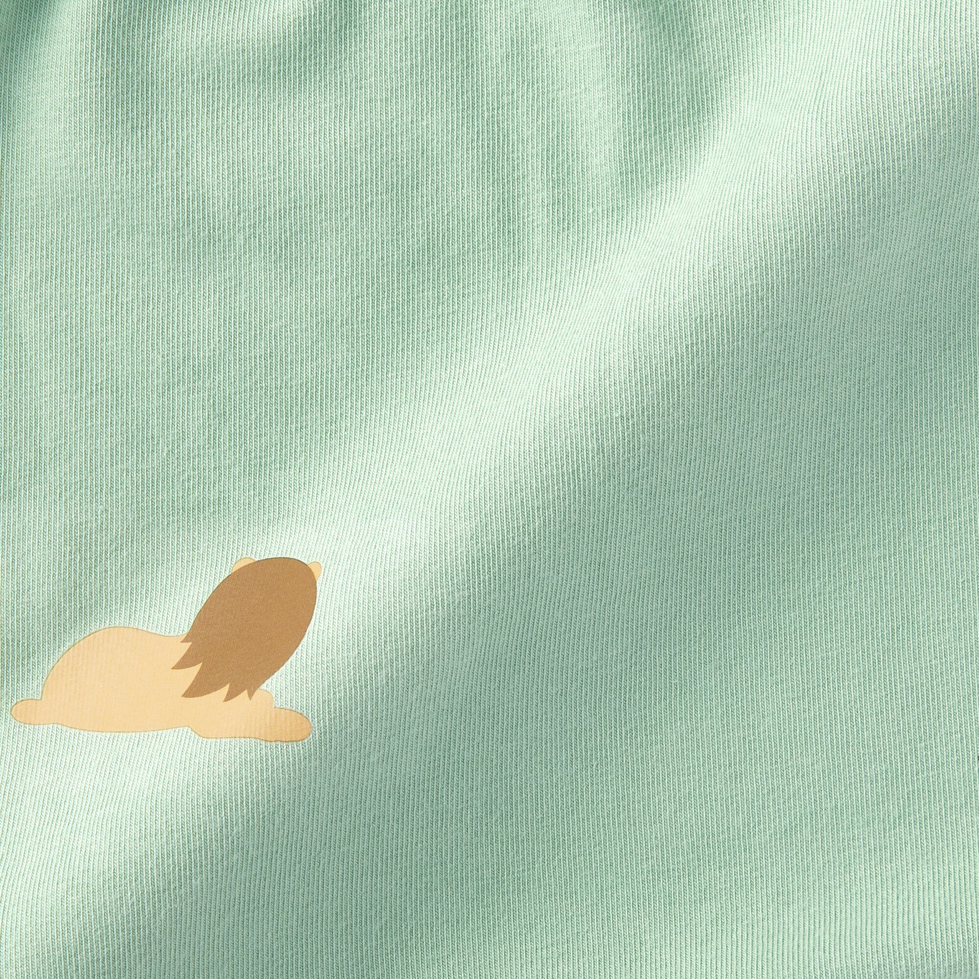 キッズ　動物柄　２枚組　前閉じボクサーパンツ